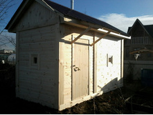 ���������)