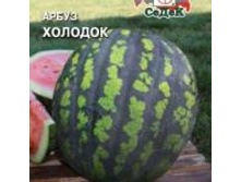 ����� ������� 7,20 ���