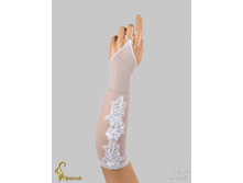 135 an4201b-00016.jpg