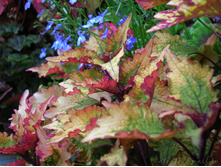 DSCN4262.JPG