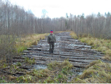 ���� � ������� �.������