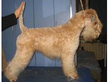 ������� �ݣ ���.JPG