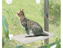 ������� ��������� ��� ����� ������ �������� TD 0185 - 595 ���.