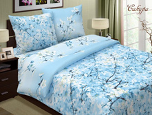 9552341.sakura golubaj.jpg