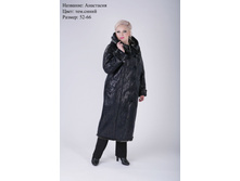 ���� 3500�.JPG