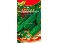 ������ ������� F1, 15,10 ��� + ���.����