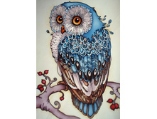 ���� Ag491 27 �� 38 - 846 ���.