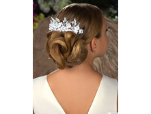 ������ � ��������� PACP021329.jpg