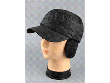 Image044.gif