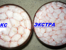 ���� ����� ������� �����