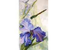 � �� ��.jpg