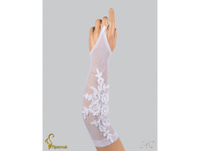 140 an42010-00016.jpg