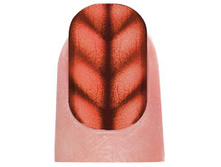 Nail m768.jpg