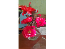 IMG 20151020 103321.jpg