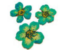 F8 ����� ��������-38 ���.jpg