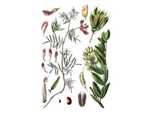 �������� ������������, �����, 50� ���� 90 ���