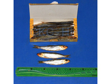 ������ ��.jpg