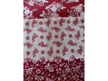 IMG 20151105 122404.jpg