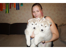 ����ң��� � ������ -( 38 ����)