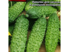 ������ �������� ����� ���������. 0,4� ��� ��� �.� 6,00 ���..jpg [���.��000000773]