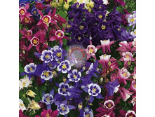 ��������� ���������� ������ 9,10 ���.[���.3001946]