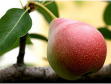 ����� ���������-400�