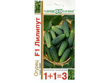 ������� F1(1+1) 20�� ������ 31,35 ���.