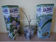 ������ ��������� 180�