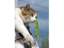 � ���� �� �����!