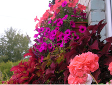 DSCN5118.JPG