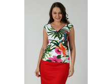 ����o�a� ������ �06 = 520 �