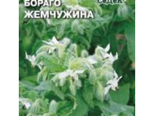 Borago-zhemchuzhina n .jpg