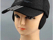 Image040.gif
