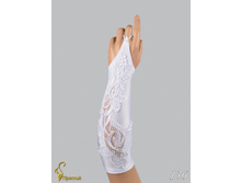 136 an4201e-00016.jpg