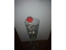 IMG 20151116 205300.jpg