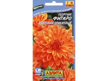 �������� ������ ��������� ����������� 4�� ��� ��� �.� 13,00 ���. [���.��000000696]