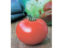 ����� ������ F1 12�� ��� ��� �.� 12,50 ���.