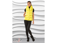 WV1529 - lemon