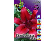 ��������� ��� 25,00.jpg