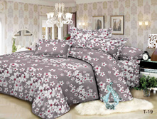 ����-����� TS-19