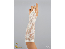 143 an42019-00007.jpg