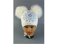 Image316.png