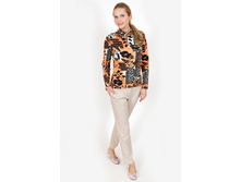 ��������� V071.2