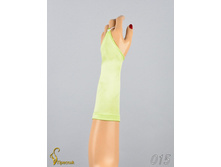 015 an42015-00040.jpg