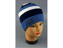 Image403.png