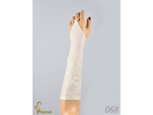 068 an42035-00007.jpg