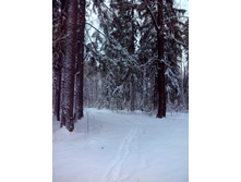 IMG 20151120 110053.jpg