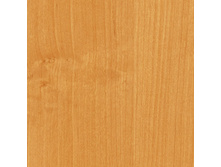 491 �����.jpg