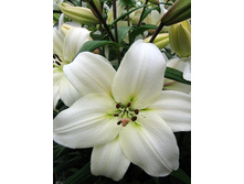 ����� 20,00.jpg