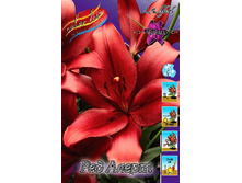 ��� ������ 25,00.jpg